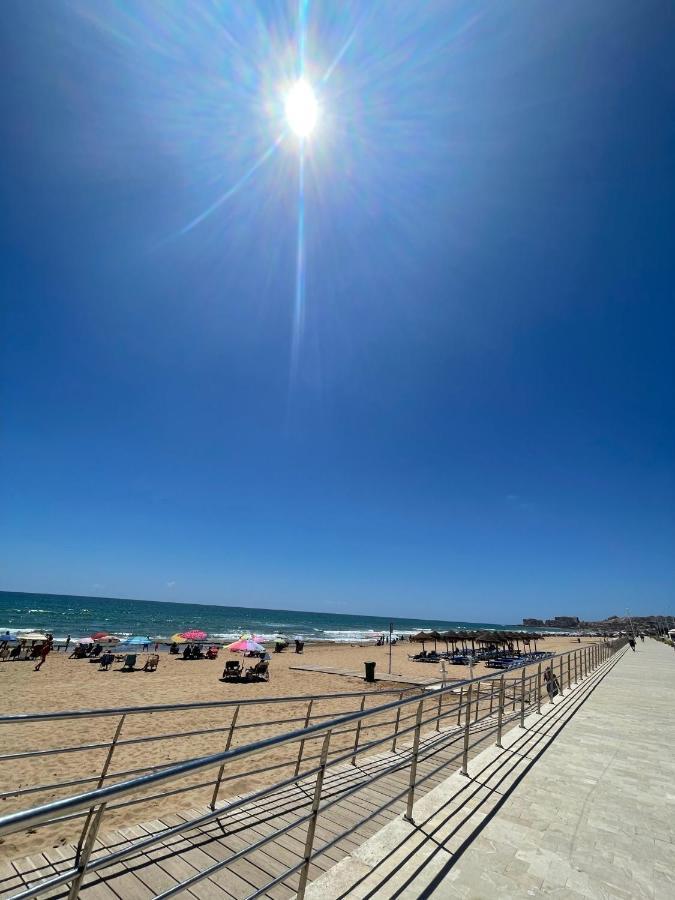 Three Bedroom Apartment With Pool In Torrevieja Eksteriør billede